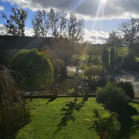 בית נופש Ancien Fournil Cosy Avec Piscine Couverte, Parc Verdoyant Et Sauna, A 30 Mn Du Mans - Fr-1-410-432 *