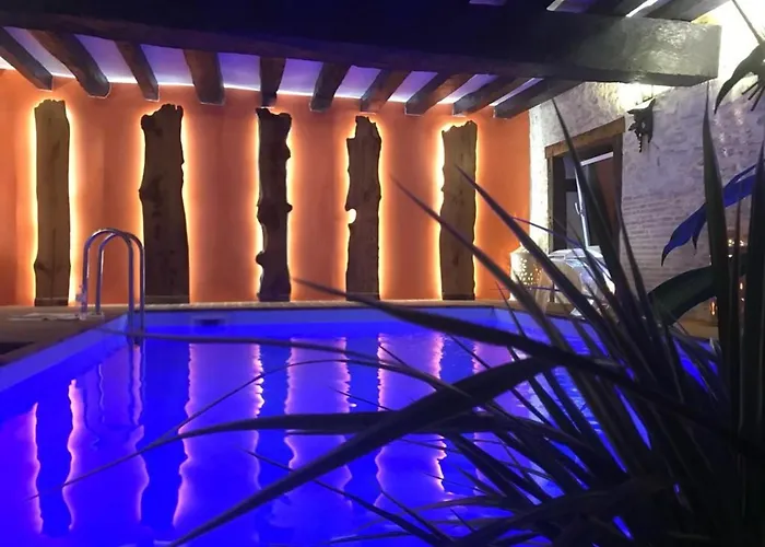 Ancien Fournil Cosy Avec Piscine Couverte, Parc Verdoyant Et Sauna, A 30 Mn Du Mans - Fr-1-410-432 *